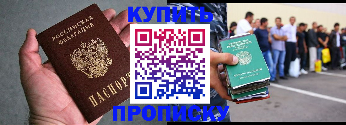 пропишу в квартире в Мытищах